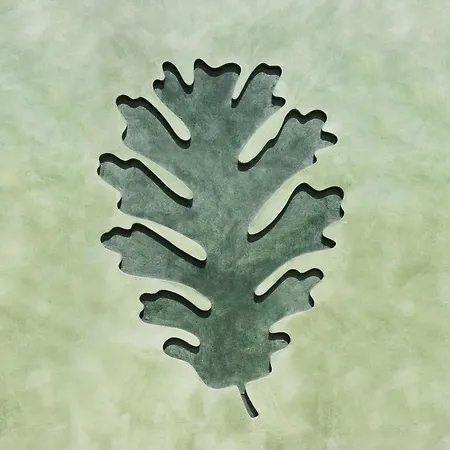 Apartment Veragua. Glamping Y Turisticos